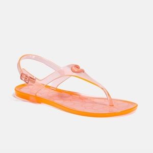 Coach Natalee Jelly Sandal Tangerine